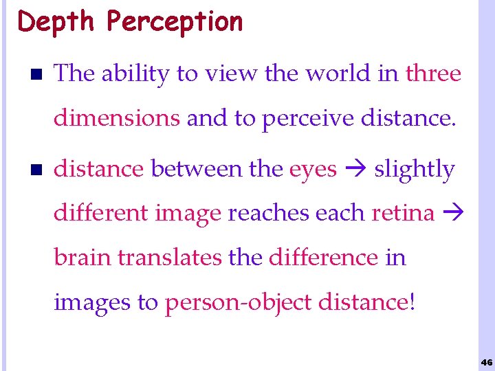 Depth Perception n The ability to view the world in three dimensions and to