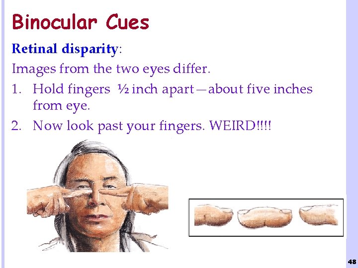 Binocular Cues Retinal disparity: Images from the two eyes differ. 1. Hold fingers ½