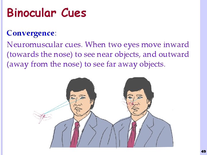 Binocular Cues Convergence: Neuromuscular cues. When two eyes move inward (towards the nose) to