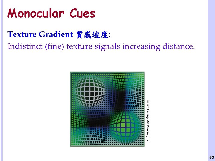 Monocular Cues Texture Gradient 質感坡度: Indistinct (fine) texture signals increasing distance. © Eric Lessing/