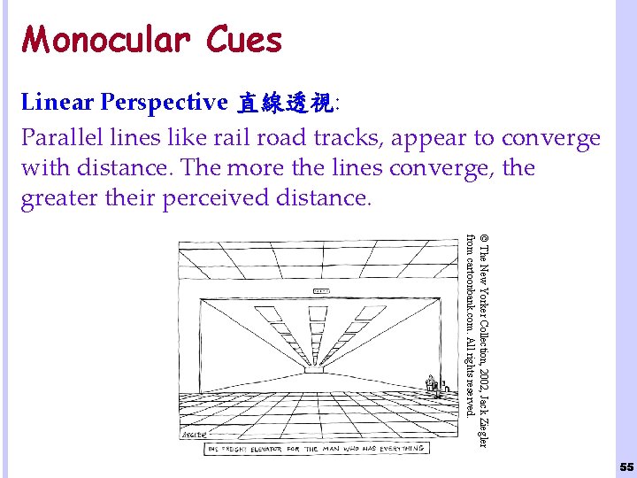 Monocular Cues Linear Perspective 直線透視: Parallel lines like rail road tracks, appear to converge