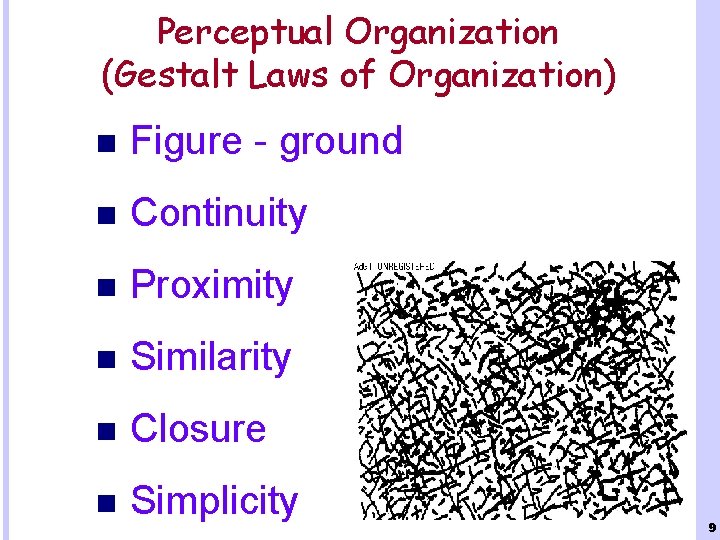 Perceptual Organization (Gestalt Laws of Organization) n Figure - ground n Continuity n Proximity