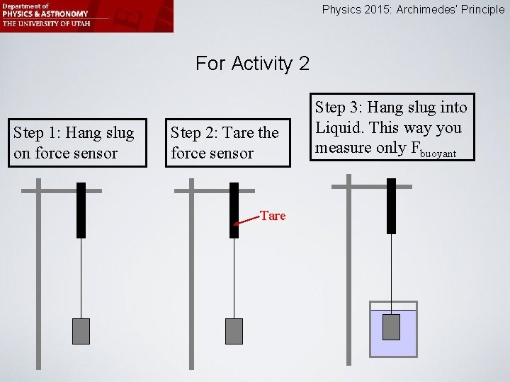 Physics 2015: Archimedes’ Principle For Activity 2 Step 1: Hang slug on force sensor