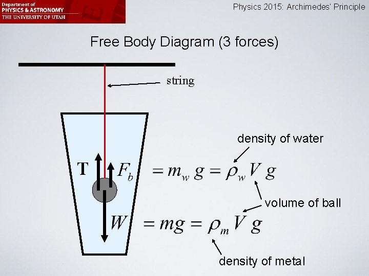 Physics 2015: Archimedes’ Principle Free Body Diagram (3 forces) string density of water T
