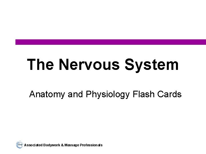 The Nervous System Anatomy and Physiology Flash Cards Associated Bodywork & Massage Professionals 