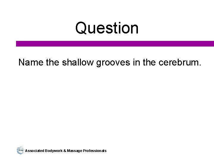 Question Name the shallow grooves in the cerebrum. Associated Bodywork & Massage Professionals 