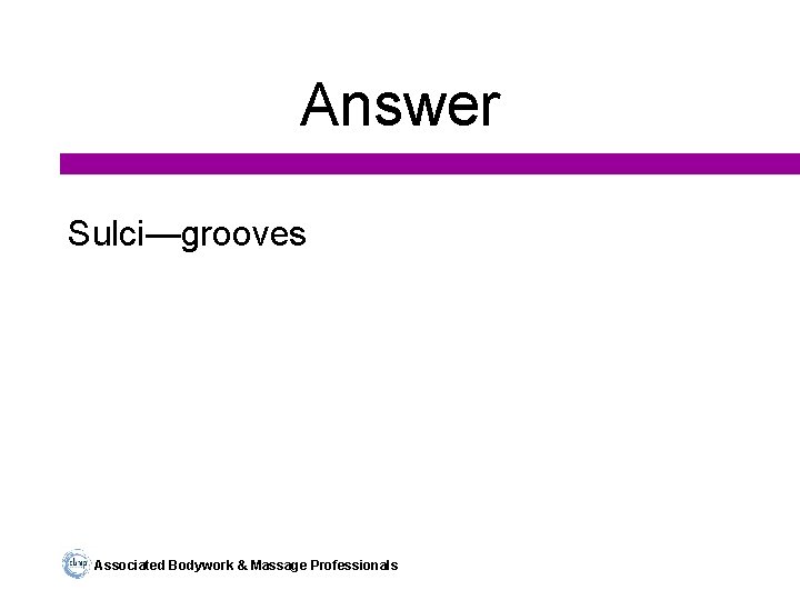 Answer Sulci—grooves Associated Bodywork & Massage Professionals 