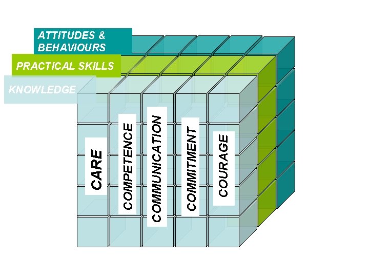 ATTITUDES & BEHAVIOURS PRACTICAL SKILLS COURAGE COMMITMENT COMMUNICATION COMPETENCE CARE KNOWLEDGE 