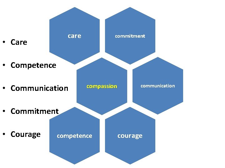 care • Care commitment • Competence • Communication compassion communication • Commitment • Courage care • Care commitment • Competence • Communication compassion communication • Commitment • Courage