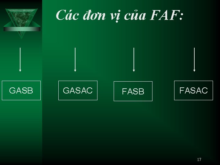 Các đơn vị của FAF: GASB GASAC FASB FASAC 17 