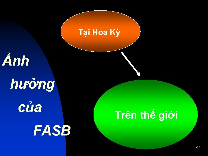 Tại Hoa Kỳ Ảnh hưởng của Trên thế giới FASB 41 