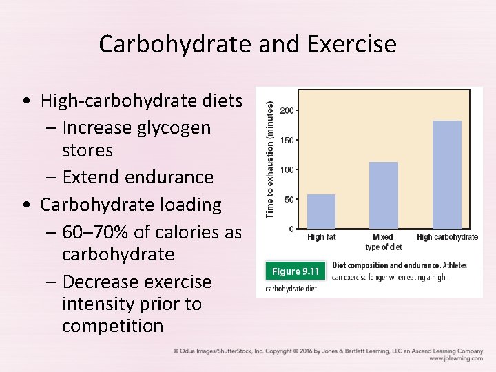 Carbohydrate and Exercise • High-carbohydrate diets – Increase glycogen stores – Extend endurance •