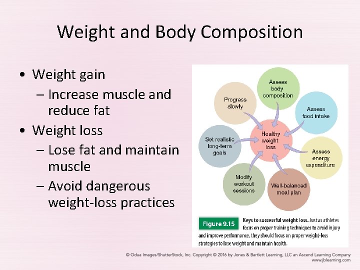 Weight and Body Composition • Weight gain – Increase muscle and reduce fat •