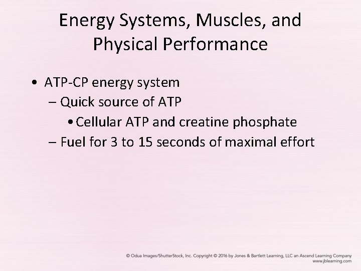 Energy Systems, Muscles, and Physical Performance • ATP-CP energy system – Quick source of