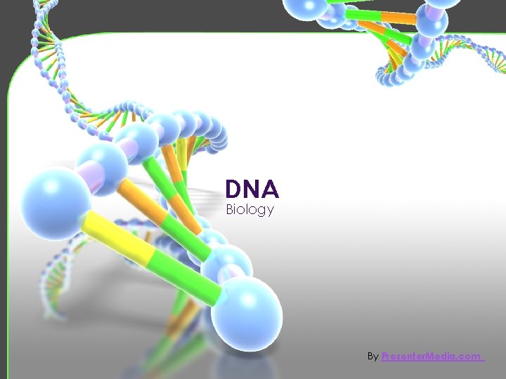 DNA Biology By Presenter. Media. com 