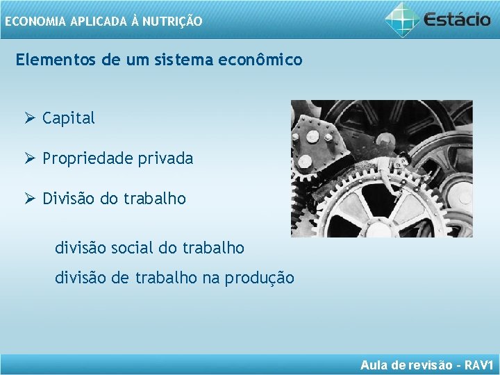 ECONOMIA APLICADA À NUTRIÇÃO Elementos de um sistema econômico Ø Capital Ø Propriedade privada