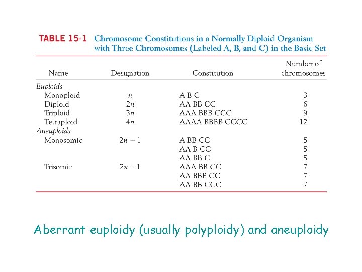 Aberrant euploidy (usually polyploidy) and aneuploidy 