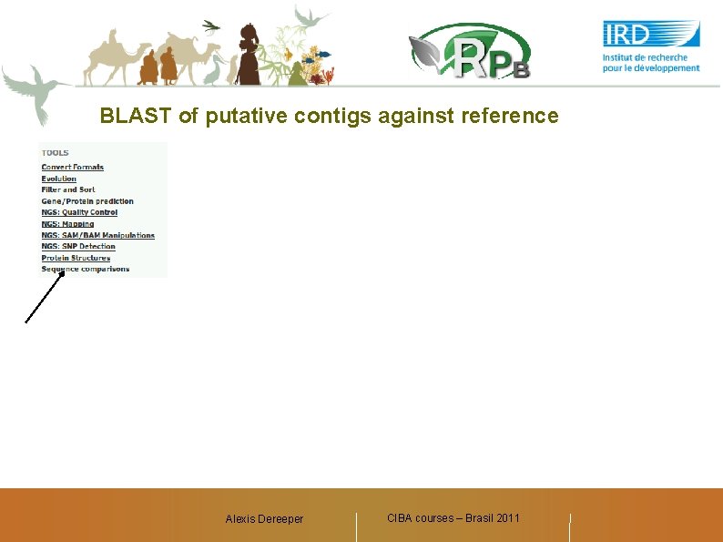 BLAST of putative contigs against reference Alexis Dereeper CIBA courses – Brasil 2011 Alexis