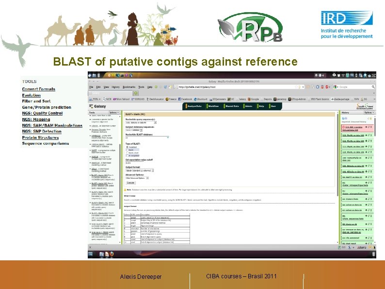 BLAST of putative contigs against reference Alexis Dereeper CIBA courses – Brasil 2011 Alexis