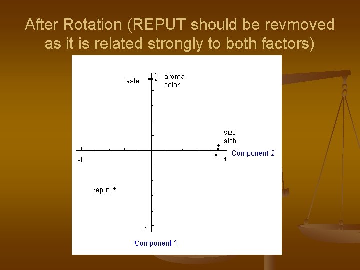 After Rotation (REPUT should be revmoved as it is related strongly to both factors)