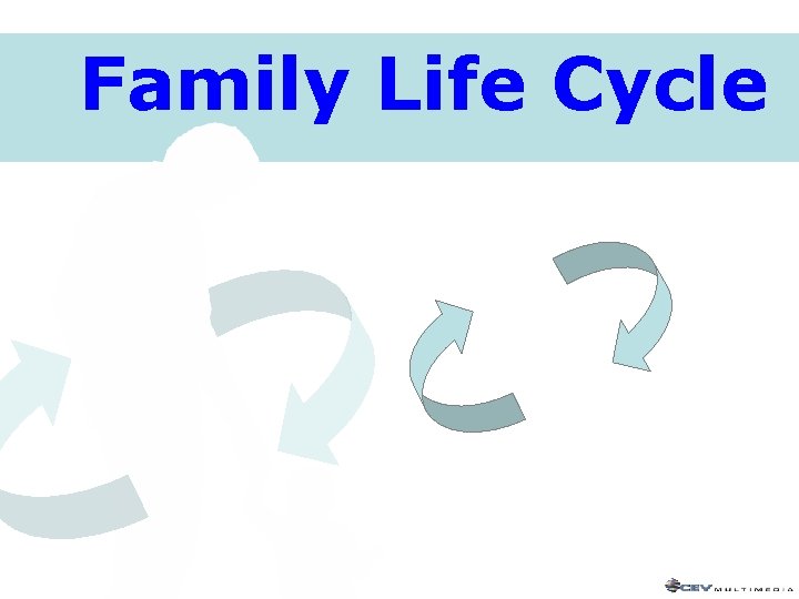 Family Life Cycle 