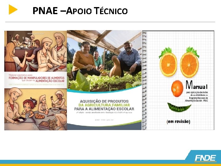 PNAE –APOIO TÉCNICO 