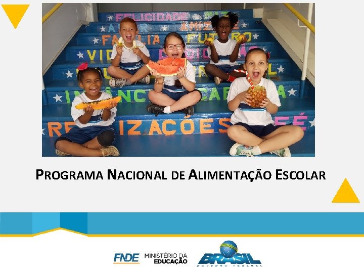 PROGRAMA NACIONAL DE ALIMENTAÇÃO ESCOLAR 