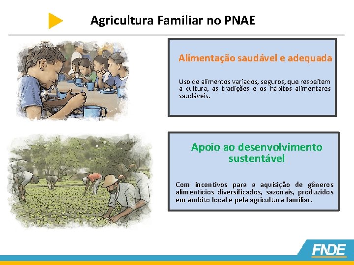 Agricultura Familiar no PNAE Alimentação saudável e adequada Uso de alimentos variados, seguros, que