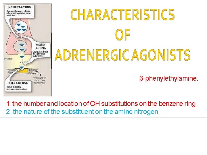Most of the adrenergic drugs are derivatives of β-phenylethylamine. Two important structural features of