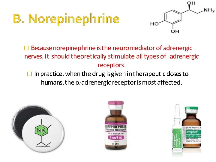 � Because norepinephrine is the neuromediator of adrenergic nerves, it should theoretically stimulate all