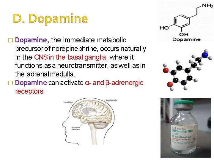 � Dopamine, the immediate metabolic precursor of norepinephrine, occurs naturally in the CNS in