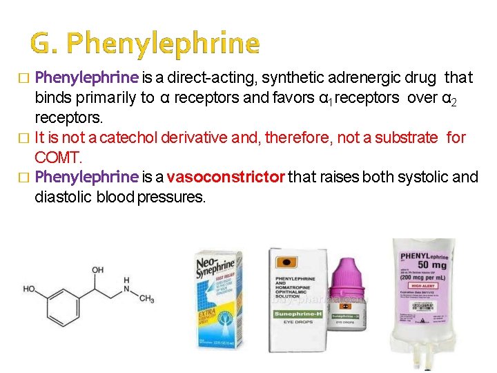 � Phenylephrine is a direct-acting, synthetic adrenergic drug that binds primarily to α receptors