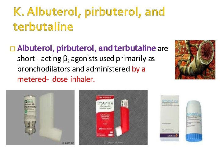 � Albuterol, pirbuterol, and terbutaline are short- acting β 2 agonists used primarily as