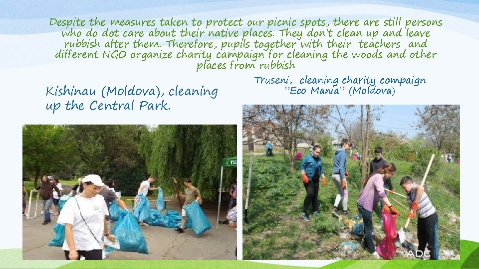 Despite the measures taken to protect our picnic spots, there are still persons who