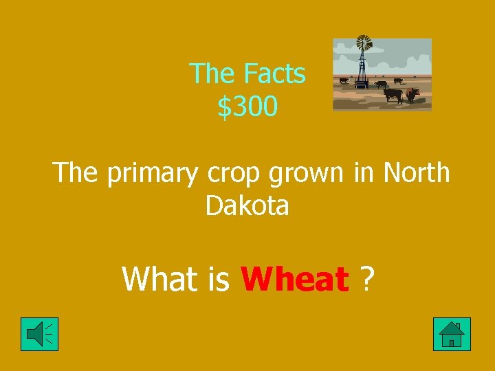The Facts $300 The primary crop grown in North Dakota What is Wheat ?