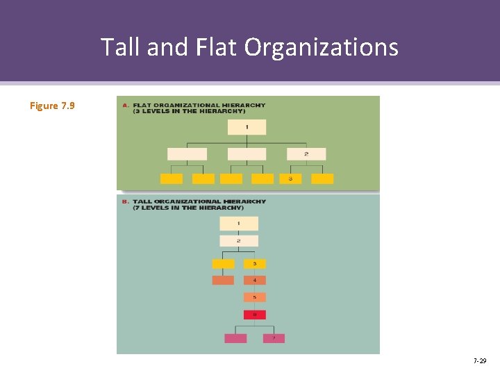 Tall and Flat Organizations Figure 7. 9 7 -29 