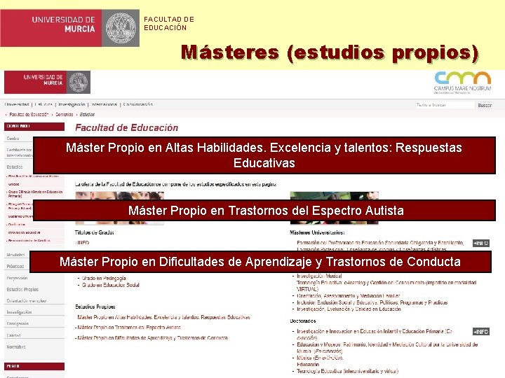 FACULTAD DE EDUCACIÓN Másteres (estudios propios) Máster Propio en Altas Habilidades. Excelencia y talentos: