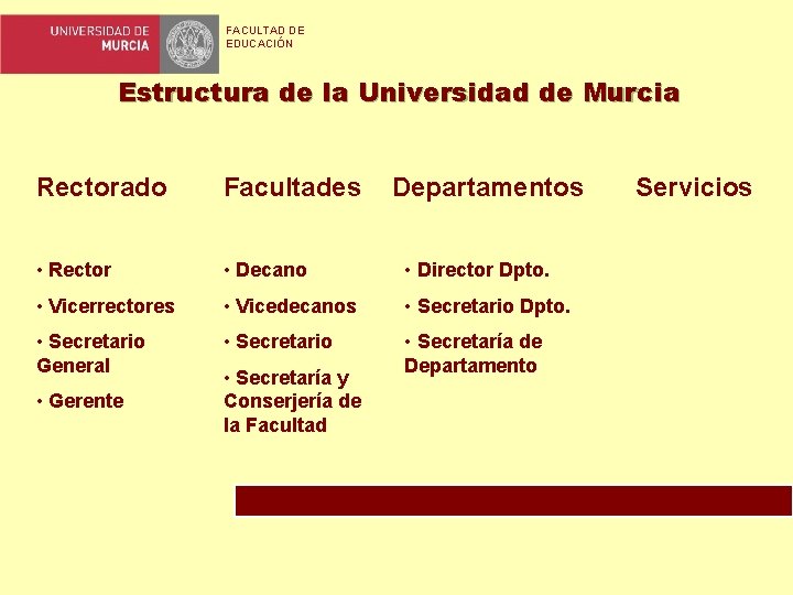 FACULTAD DE EDUCACIÓN Estructura de la Universidad de Murcia Rectorado Facultades • Rector •