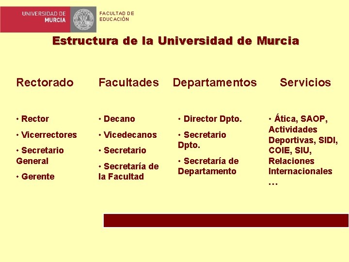 FACULTAD DE EDUCACIÓN Estructura de la Universidad de Murcia Rectorado Facultades • Rector •