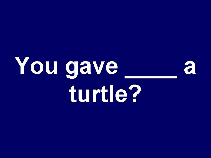 You gave ____ a turtle? 