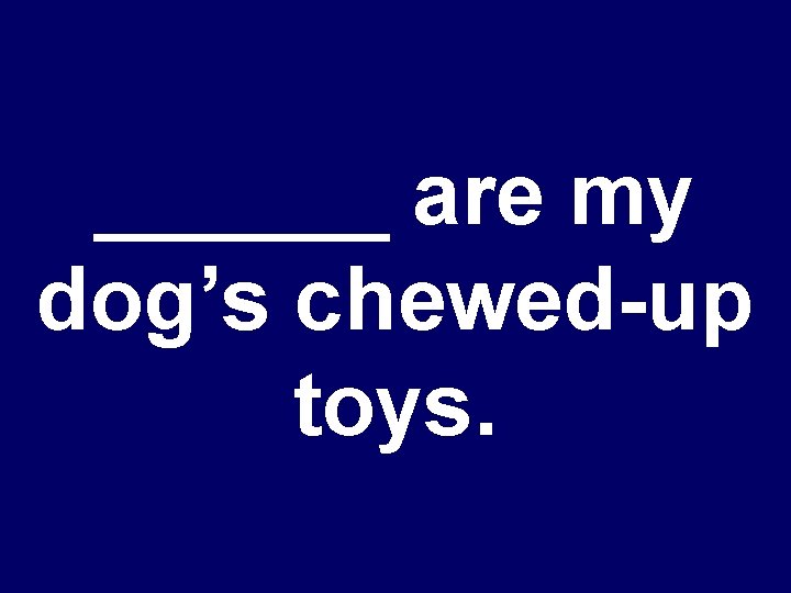 ______ are my dog’s chewed-up toys. 