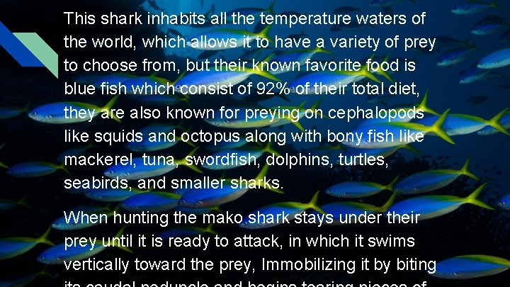 This shark inhabits all the temperature waters of the world, which allows it to This shark inhabits all the temperature waters of the world, which allows it to