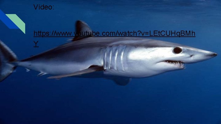 Video: https: //www. youtube. com/watch? v=LEt. CUHq. BMh Y Video: https: //www. youtube. com/watch? v=LEt. CUHq. BMh Y