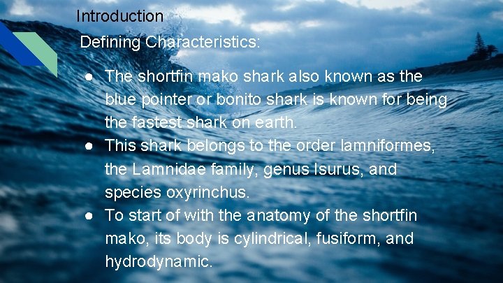 Introduction Defining Characteristics: ● The shortfin mako shark also known as the blue pointer Introduction Defining Characteristics: ● The shortfin mako shark also known as the blue pointer