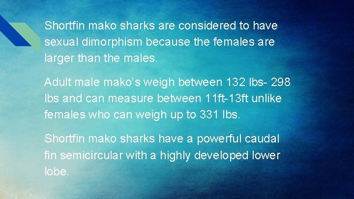Shortfin mako sharks are considered to have sexual dimorphism because the females are larger Shortfin mako sharks are considered to have sexual dimorphism because the females are larger