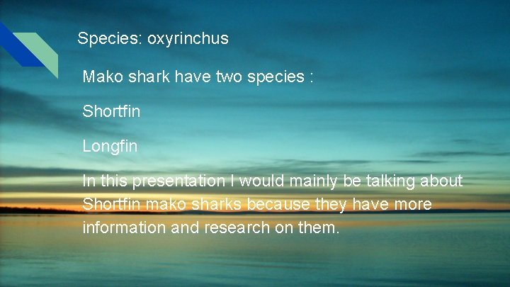 Species: oxyrinchus Mako shark have two species : Shortfin Longfin In this presentation I Species: oxyrinchus Mako shark have two species : Shortfin Longfin In this presentation I
