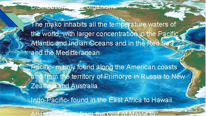 Distribution of the organism The mako inhabits all the temperature waters of the world, Distribution of the organism The mako inhabits all the temperature waters of the world,