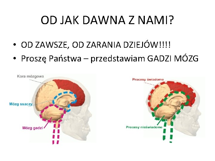 OD JAK DAWNA Z NAMI? • OD ZAWSZE, OD ZARANIA DZIEJÓW!!!! • Proszę Państwa