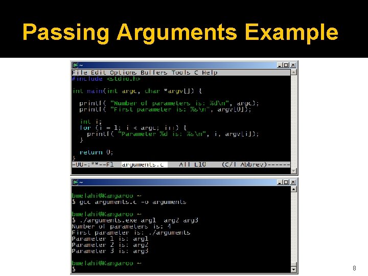 Passing Arguments Example 8 