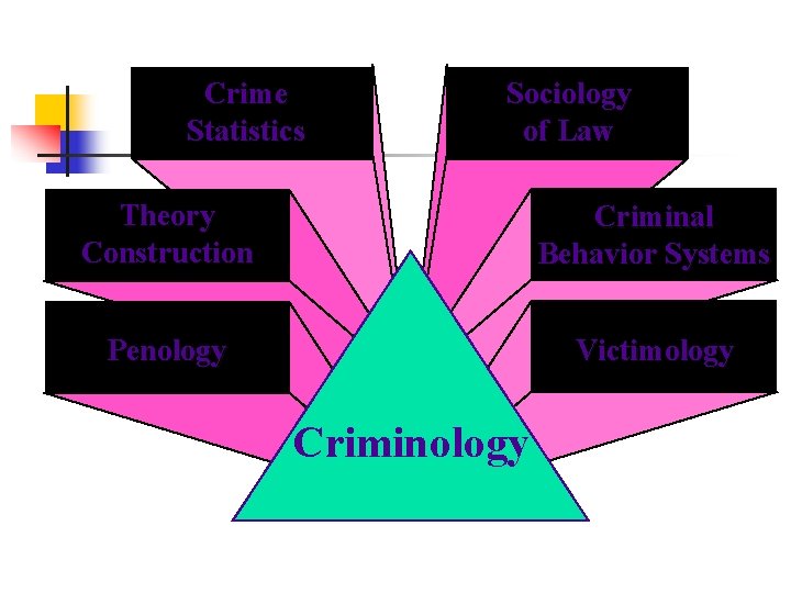 Crime Statistics Sociology of Law Theory Construction Criminal Behavior Systems Penology Victimology Criminology 